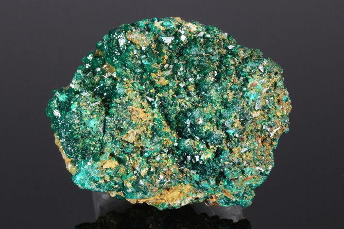 Gemmy Dioptase Clusters with Mimetite - N'tola Mine, Congo #175942